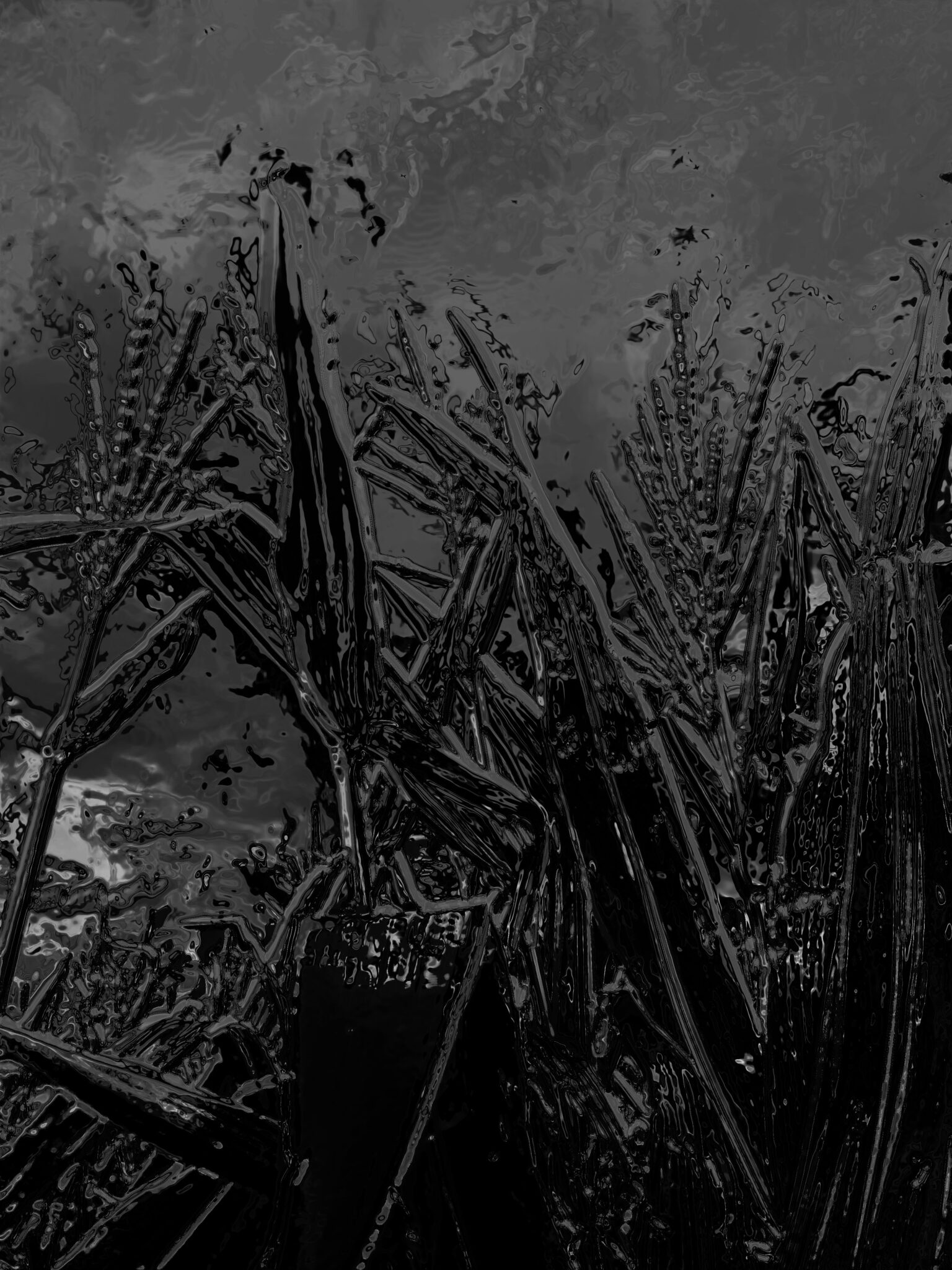 AVK – Fashion Designer